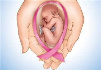 備孕首先應(yīng)該了解什么？宮頸黏液和排卵期是什么？