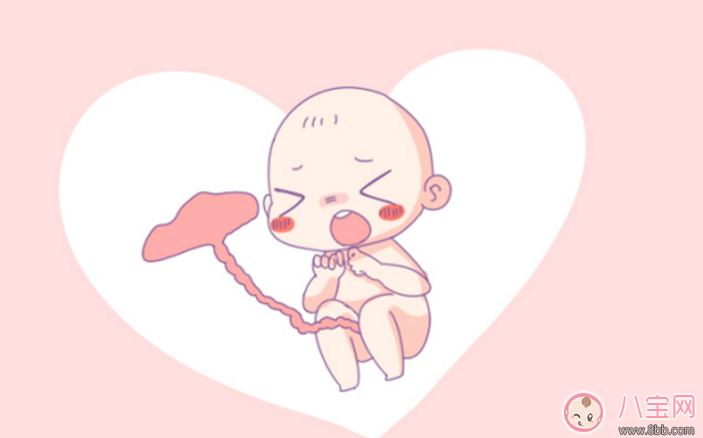 扎心了老鐵沒鐵了 準(zhǔn)媽媽補(bǔ)鐵這么做效率高