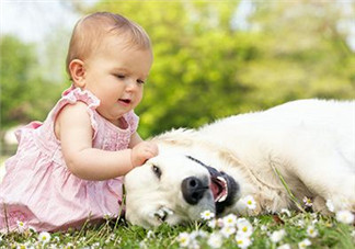 秋季寶寶怎么曬太陽(yáng)更健康 寶寶曬太陽(yáng)注意事項(xiàng)