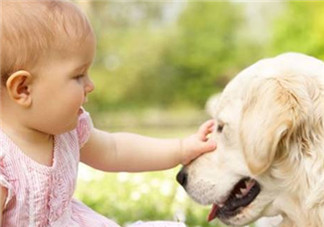 寶寶被各種寵物抓咬傷的緊急處理措施