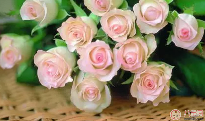 2017七夕節(jié)應(yīng)該送老婆什么禮物最有心？