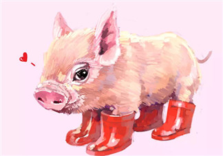 寶寶胎教小故事 紅鞋子回家