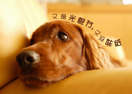 光棍節(jié)說(shuō)說(shuō)帶圖片，光棍節(jié)圖片說(shuō)說(shuō)大全