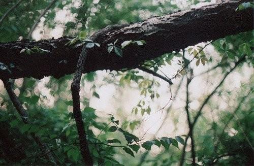 14條值得收藏的朋友圈說說帶圖片 溫柔又文藝的唯美說說圖片9