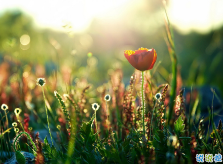 微信朋友圈治愈系早安心語(yǔ)說(shuō)說(shuō) 溫暖小清新早安說(shuō)說(shuō)大全3