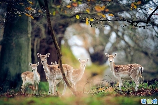 早安周末寫給周末上午的勵志經(jīng)典說說配圖 很勵志經(jīng)典的早安心語語錄20189