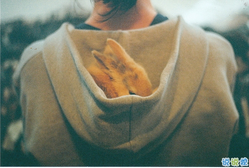 qq個(gè)性說說大全好聽的 獨(dú)一無二的個(gè)性說說2019最新2