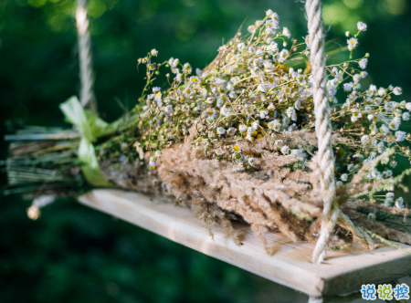 微信朋友圈治愈系早安心語(yǔ)說(shuō)說(shuō) 溫暖小清新早安說(shuō)說(shuō)大全1