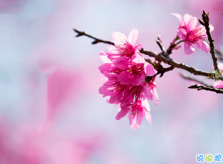 微信朋友圈治愈系早安心語(yǔ)說(shuō)說(shuō) 溫暖小清新早安說(shuō)說(shuō)大全10