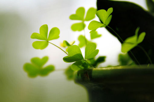 關(guān)于讀書閱讀的哲理精辟有道理的說說帶圖片10