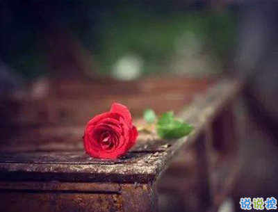 qq文藝傷感愛情說說帶圖片 這世界很大不刻意就不會(huì)再見了5