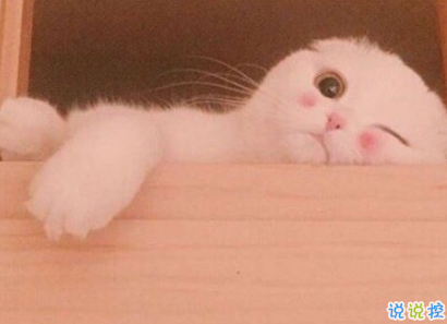 qq擴(kuò)列說(shuō)說(shuō)怎么寫(xiě)逗比 超級(jí)搞笑有趣的擴(kuò)列說(shuō)說(shuō)1