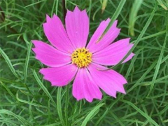 2019最新微信經(jīng)典短句 今年很流行的經(jīng)典語錄