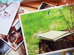 2019迎接三月份的說說陽光勵志 三月第一天發(fā)朋友圈的說說