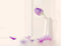 2019谷雨節(jié)氣經(jīng)典說說大全 谷雨朋友圈經(jīng)典語錄