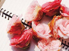 艾特自己的勵志說說2018最新版 適合艾特自己的說說很有道理