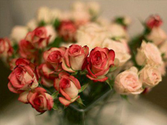 15條愛(ài)情說(shuō)說(shuō)我的心里話 愛(ài)情中最真實(shí)的感受說(shuō)說(shuō)配圖