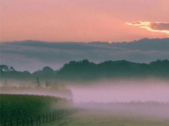 簡短的帶唯美的說活帶圖片 簡單一句話說說表達(dá)心中的情感