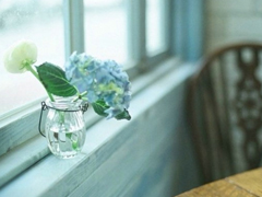 唯美文藝說說帶圖片 想做一個(gè)長長的夢(mèng)回到十九歲那年