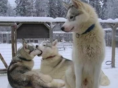 很有內(nèi)涵的搞笑說說圖片最新版 有意思的內(nèi)涵段子說說