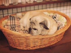 幽默有趣的說說大全一秒鐘笑哭 讓人樂在其中的搞笑說說帶圖片