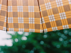 很現(xiàn)實的人生感悟空間說說大全 關于成長和成熟你需要知道的說說