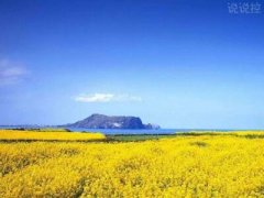 2018經(jīng)典句子帶圖片，經(jīng)典句子配圖