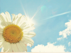 關于讀書閱讀的哲理精辟有道理的說說帶圖片