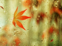 心情郁悶的傷感說說帶圖片 夜里睡不著覺的傷感心情說說配圖